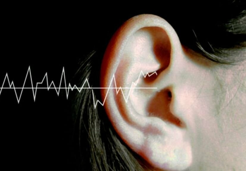 Звуки это что слышит ухо огэ ответы. Ухо и звуковые волны. Звуковая волна в ухе. Ухо слух. Звук и слух.